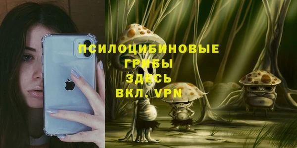 гидропоника Балабаново