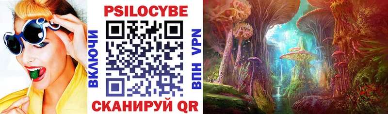 KRAKEN маркетплейс  Зима  Галлюциногенные грибы MAGIC MUSHROOMS  закладка 